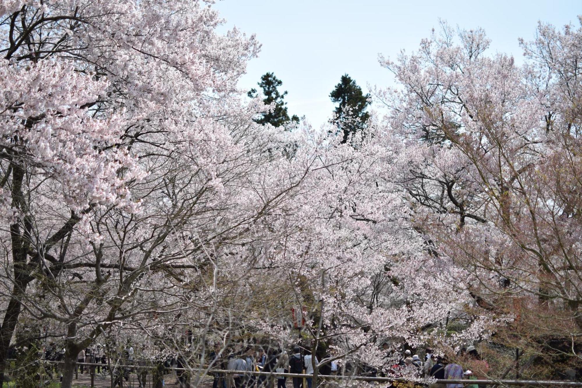 Hotel Yamabuki Komagane Exteriér fotografie